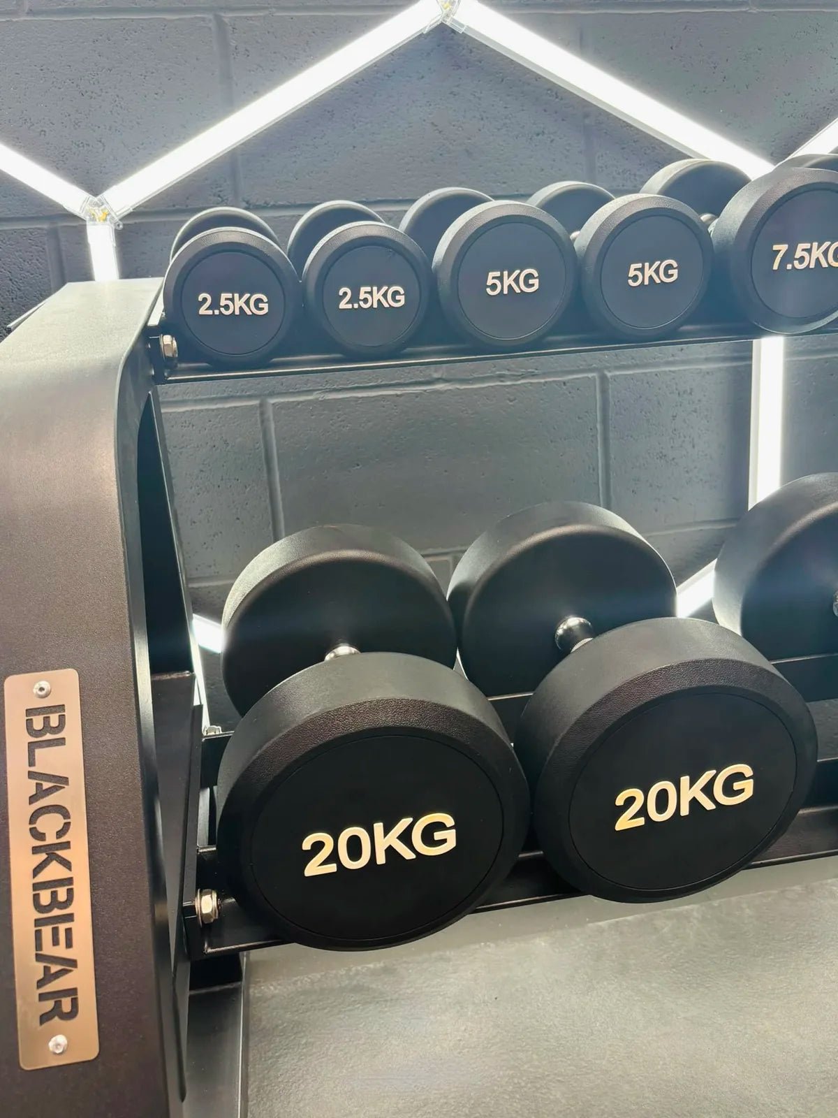 2.5kg-30kg Commercial Dumbbell Package + Stand (12 Pairs) - BlackBear Fitness